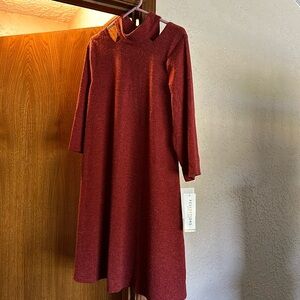 Women’s sweater dress size large.